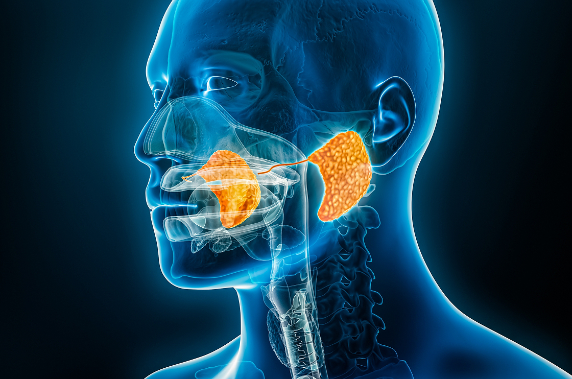 Sialendoscopy banner
