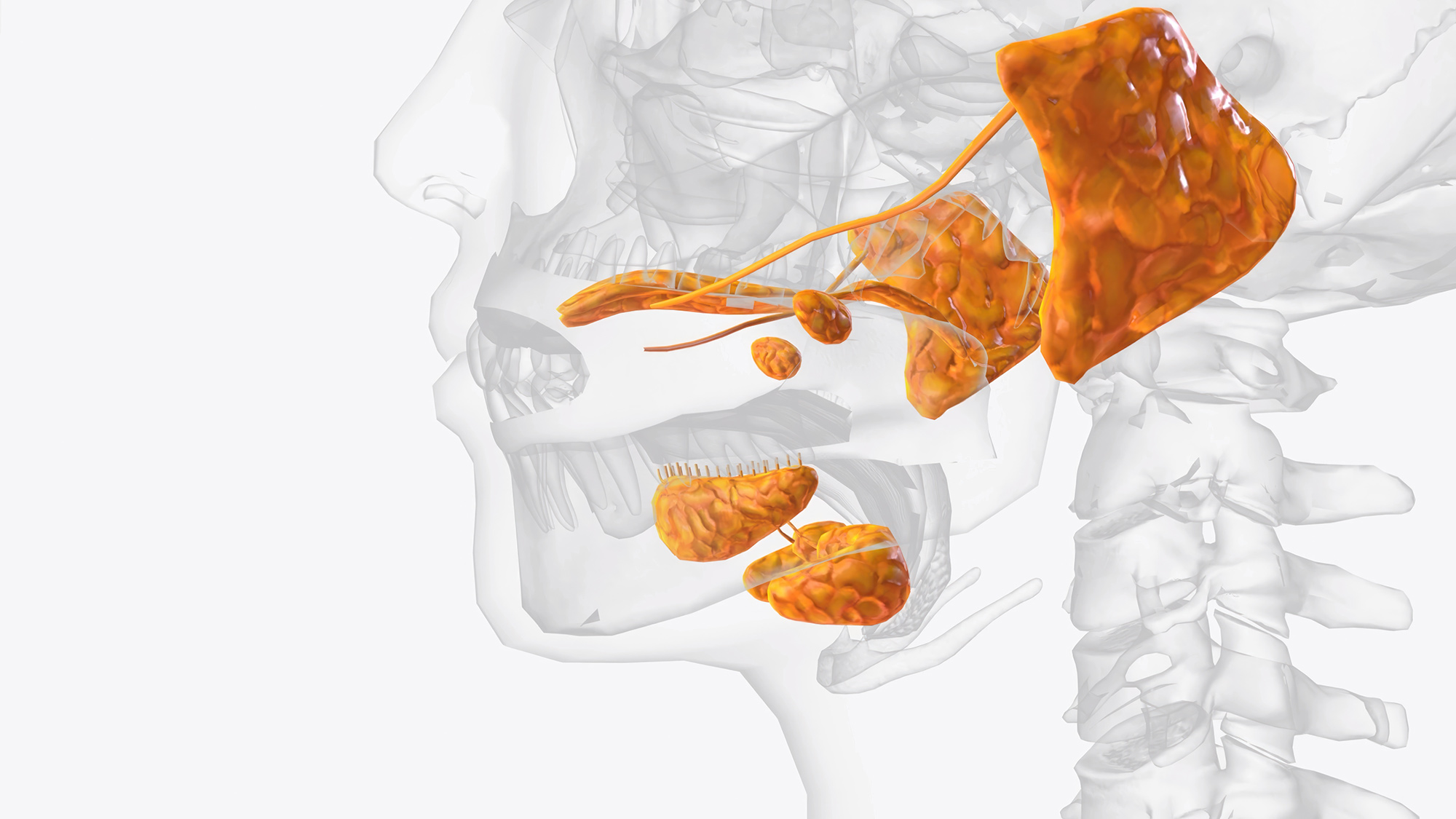 Blocked salivary gland treatment Blocked salivary glands Salivary duct blockage Salivary gland obstruction Blocked salivary duct