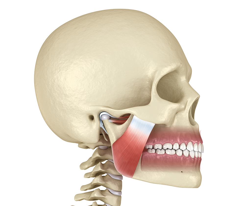 what causes TMJ, TMJ causes, jaw clenching, teeth grinding