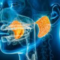 Salivary Gland Disorders Symptoms and Treatment Options Salivary Gland Disorders Symptoms and Treatment Options