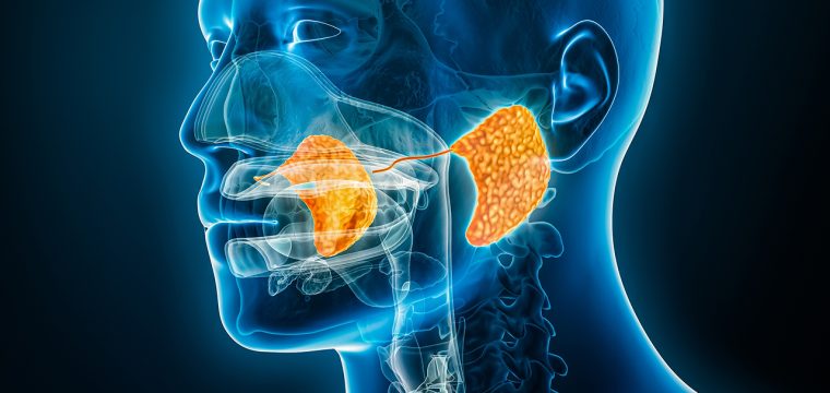 Salivary Gland Disorders Symptoms and Treatment Options Salivary Gland Disorders Symptoms and Treatment Options